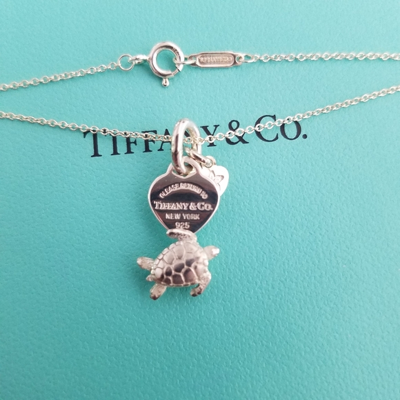Berry Marlow Customized Sea Turtle 